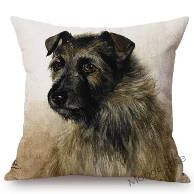 conew_n387 (35) 副本