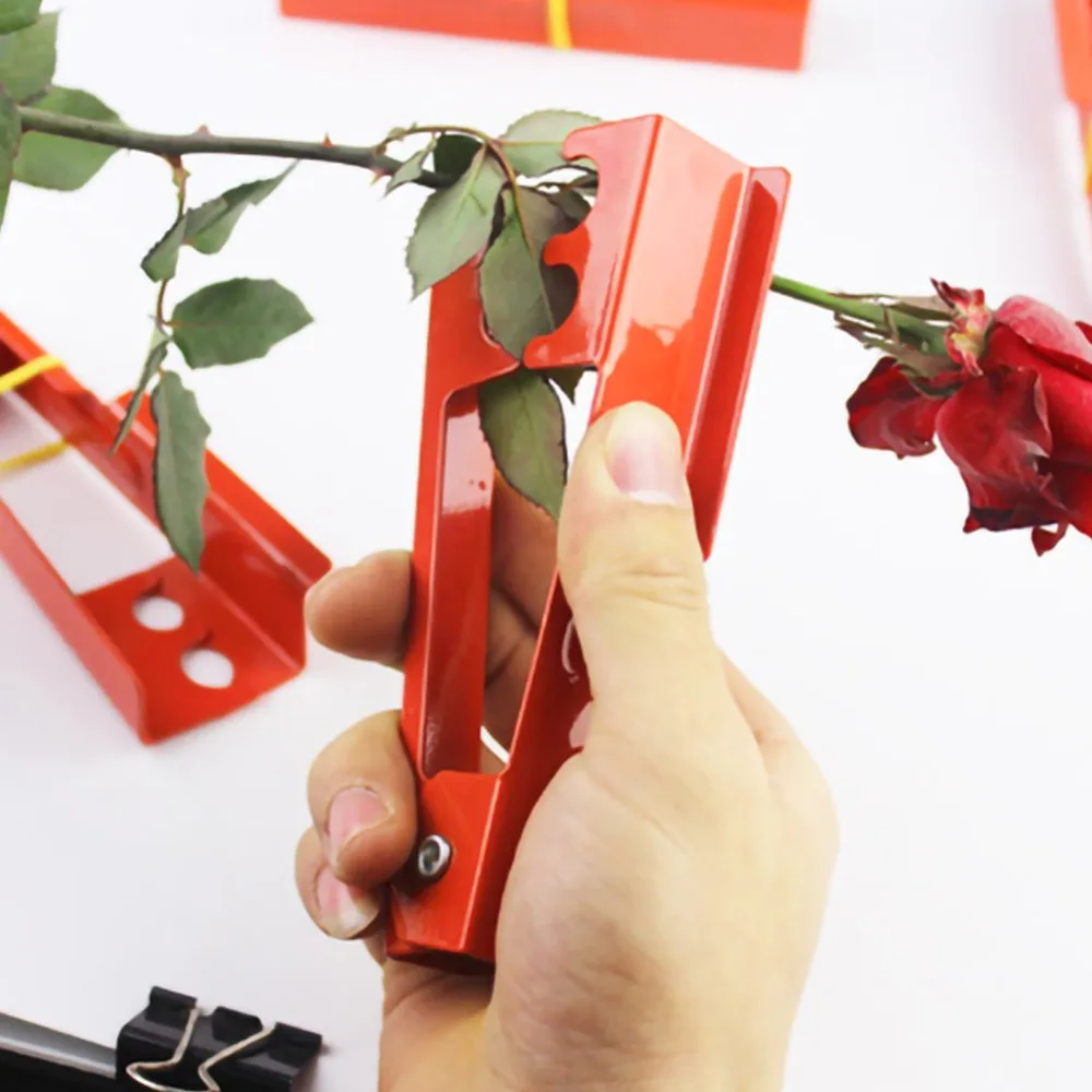 448e0442533eeac068152a8ace47b232