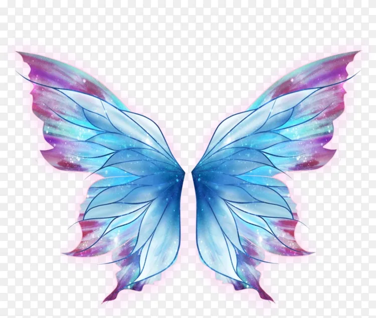 蝴蝶画艺术仙女翅膀