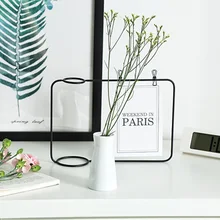 Северное растение, цветок, контейнер для гостиной, Декор, Мини Дом, кованое железо, фоторамка, подарок, керамическая открытка, дисплей, гидропонная ваза