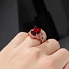 Bague Ringen Classic Rings For Women With Oval Shape Red Gemstones Rose Gold Color Charm Lady Fashion Jewelry Gift 5