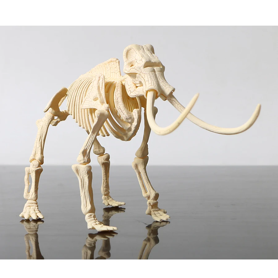 3D DIY Dinosaur Skeleton Assembled Models Toy,3D Excavation Dig kits Series Mini Triceratops/Stegosaurus/Velociraptor Puzzle Toy 10