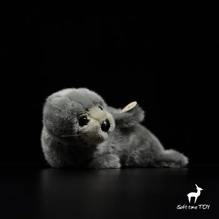 O1CN01MB5jXz1DnZvgoOAKS_!!22080261