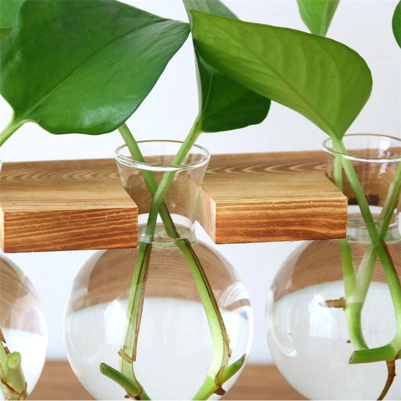 Snipaste_2020-07-29_09-55-29