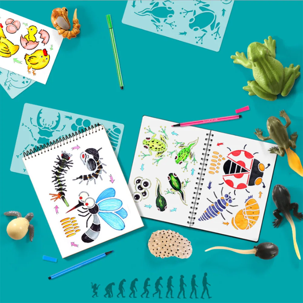 

Hand drawing educational toys for children DIY animal growth cycle educational toys art supplies creative mould tools Sketch