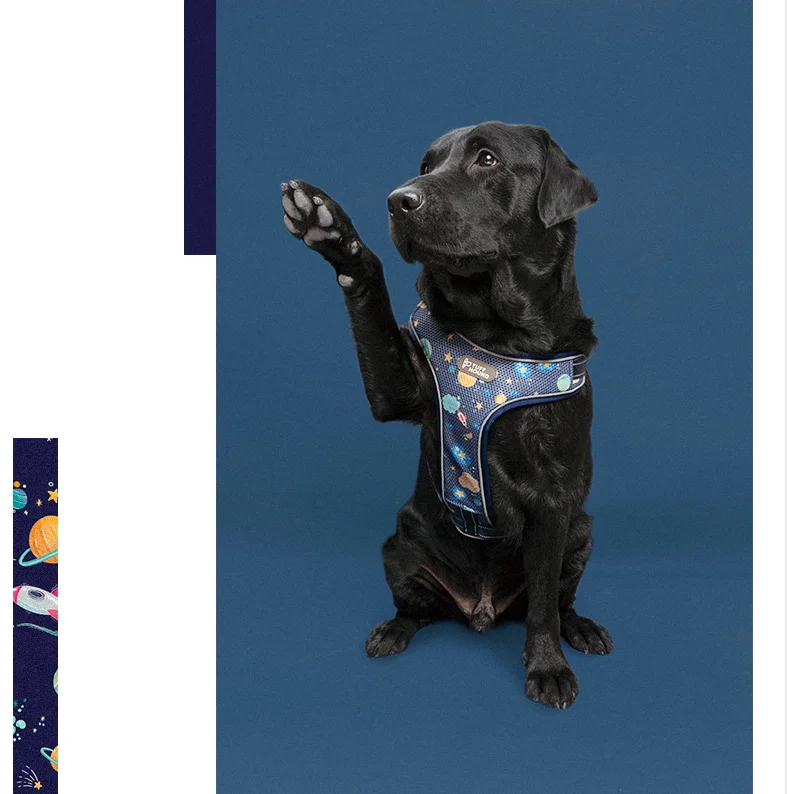 TUFF HOUND, двойная воздушная сетка Drytek, жгут, яркие цвета, не тянет, собачий жгут, дышащая сетка, костюм для маленьких, средних и больших собак