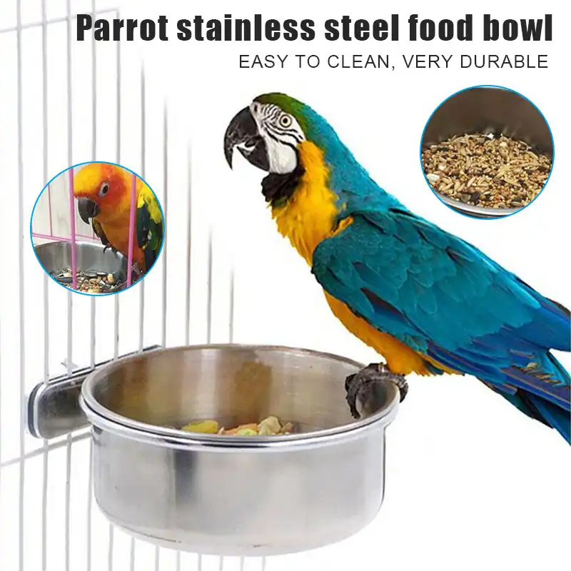 bird cage food