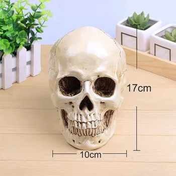 

Human skull replica 1: 1 resin model art teaching model for tracking using real size