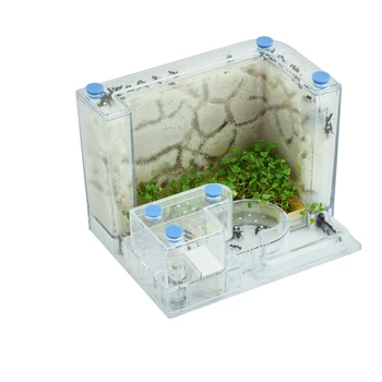 

Ant Workshop Pet Nest Palace Castle Home Villa Desktop Ecological Feeding