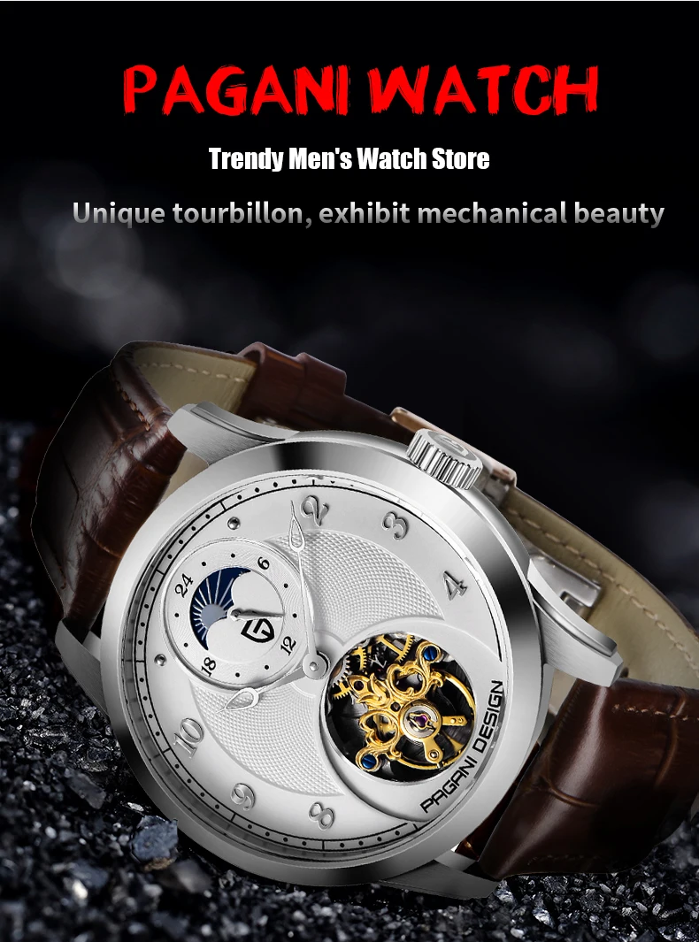 PAGANI новые мужские часы лучший бренд класса люкс автоматические механические часы мужские водонепроницаемые Tourbillon часы мужские Relogio Masculino