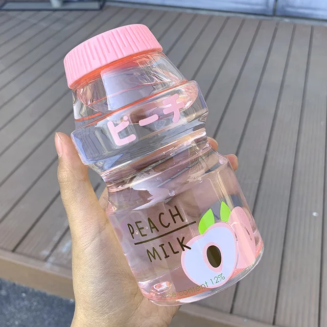 Kawaii Strawberry Fruit Water Bottle (480ml) KawaiiTherapy