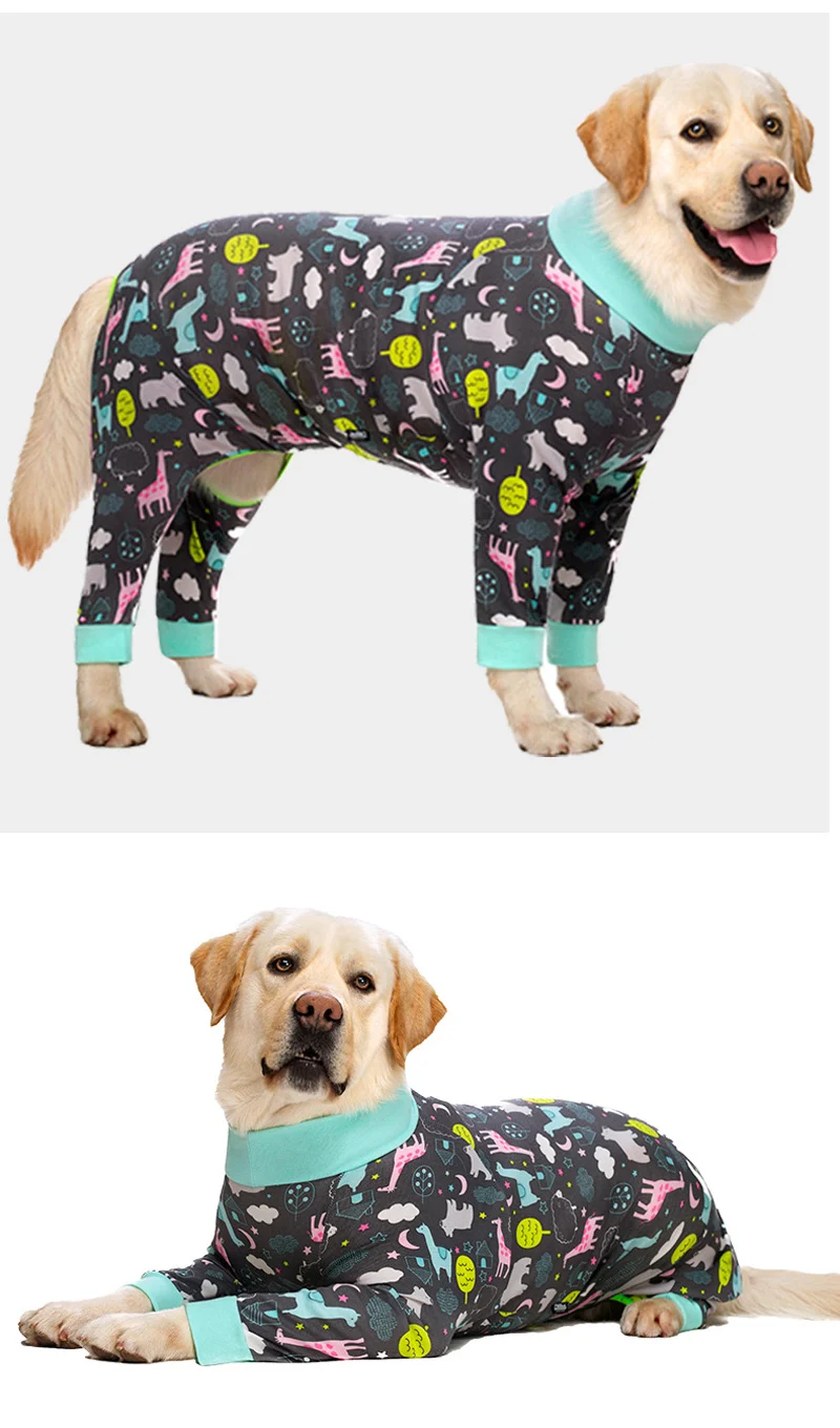 Cão de estimação onesie pijamas dinossauro crânio