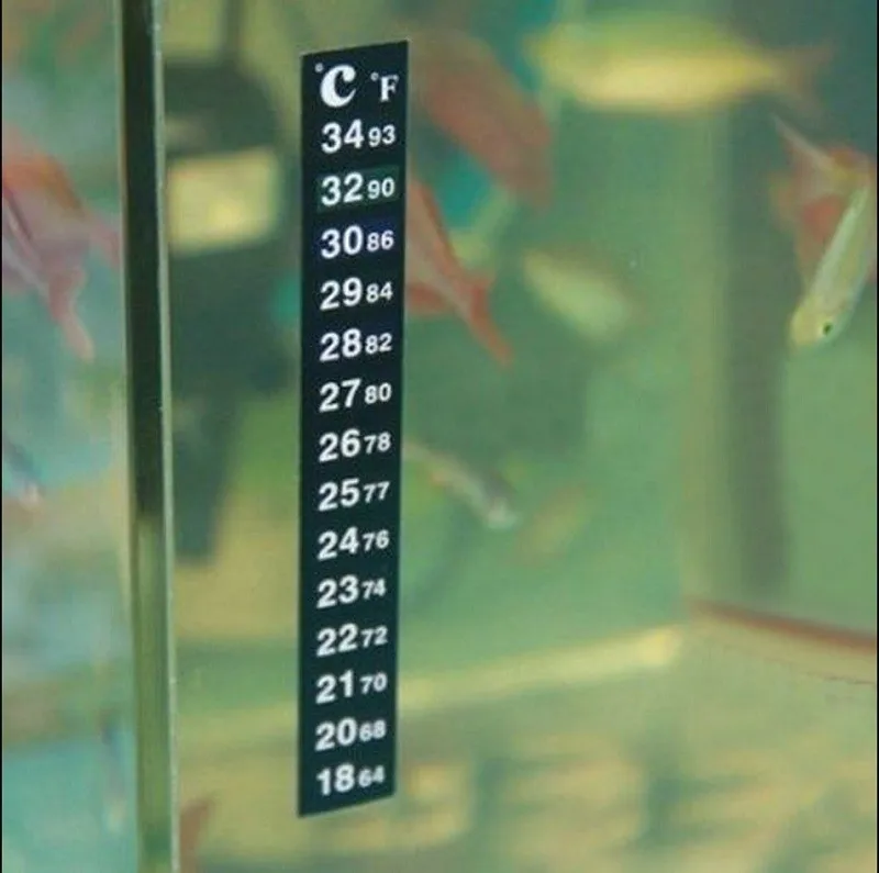 B3