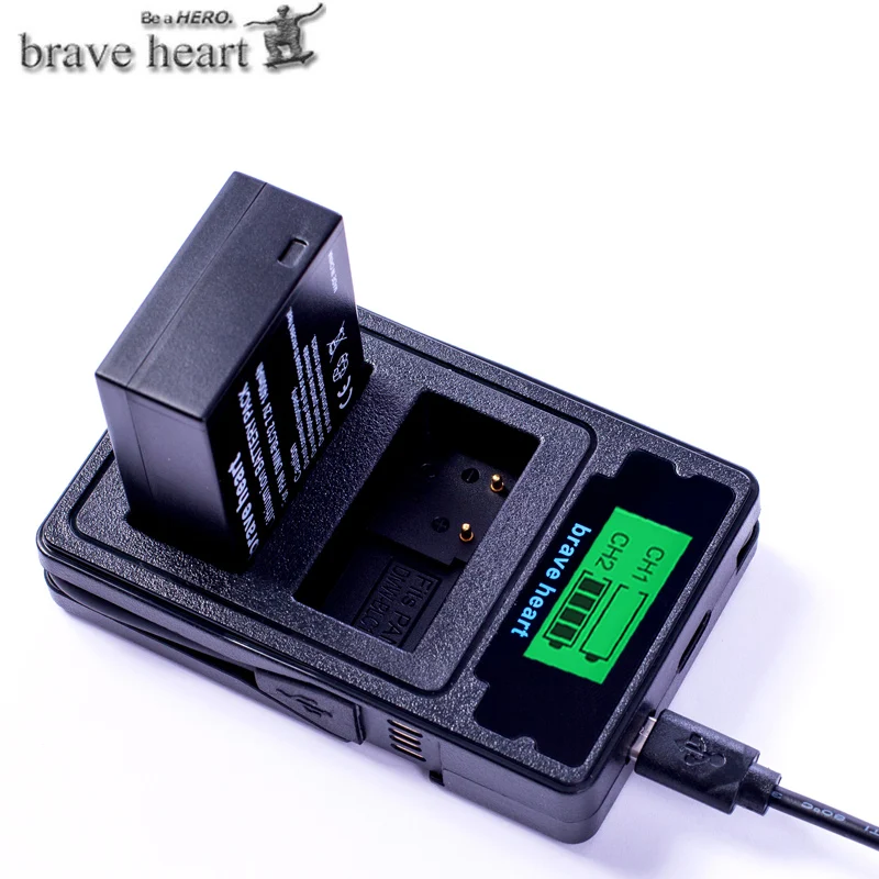 DMW-BLC12 BLC12E BLC12PP DMW BLC12 батарея+ двойное зарядное устройство/USB кабель для Panasonic Lumix FZ1000, FZ200, FZ300, G5, G6, G7, GH2, DMC-GX8