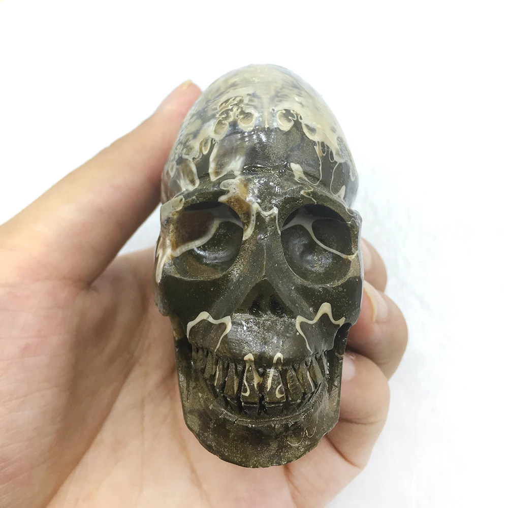 Ручной работы настоящий аммонит Fossil Статуэтка-Череп кварцевый хрустальный череп Мадагаскар образец минерала целебные хрустальные украшения для дома