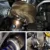 PQY - 100% полный ТИТАН T3 turbo blanket turbo heat shield fit : t2 t25 t28 gt28 gt30 gt35 и большинство t3 turbo PQY-TBF03