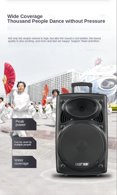 スクエアダンスオーディオ屋外20インチサブウーファー大型
