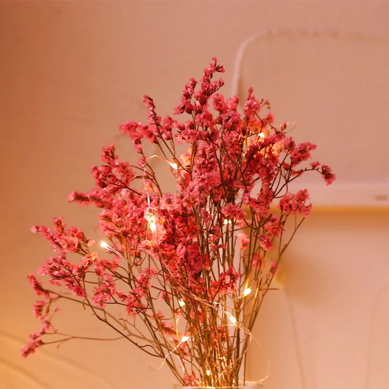 Ins/украшение для спальни в Северной Европе, подарок, медная проволочная лампа для украшения сушеных цветов, ваза, светодиодная лампа, Новинка - Испускаемый цвет: Watermelon Red