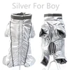 Silver-Boy