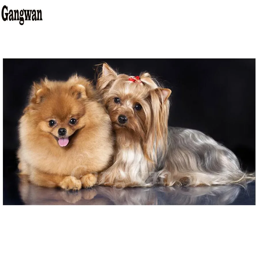 

large size 5D DIY Diamond Cross Stitch Yorkshire Terrier and puppy pomeranian Full Diamond Embroidery Dogs Diamond Mosaic paint