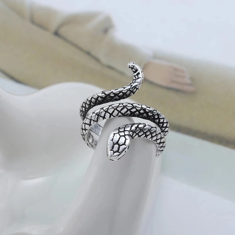 Anillo-de-serpiente-Punk-para-mujer-joyer-a-Vintage-de-metal-pesado-Hip-Hop-Rock-joyer.jpg_.webp_Q90.jpg_.webp_.webp (1).jpg_.webp