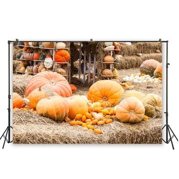 

HUAYI Wonderful Pumpkins Decoration Rural Field Background Backdrops For Baby Shower Photoshoot Photography Backdrop D-5373