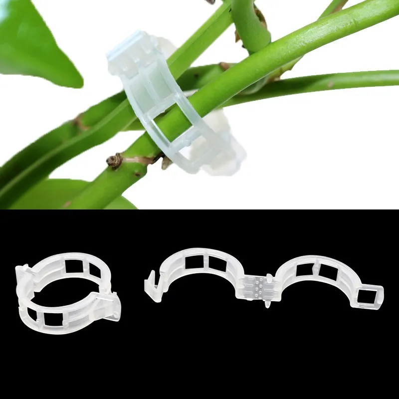 30/50/100pcs Plastic Plant Clips Supports Connects Reusable Protection Grafting Fixing Tool Garden Supplies for Vegetable Tomato