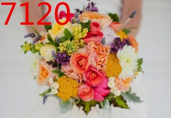 

Apparel Accessories / Garment Accessories & Textiles / Mesh Garment Fabric DF