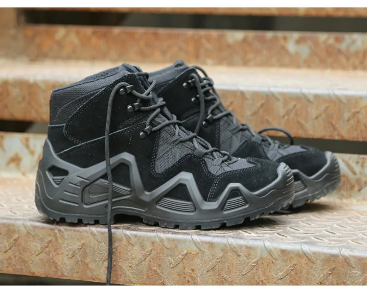 11659687608_1984534002