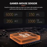 Computer Peripherals