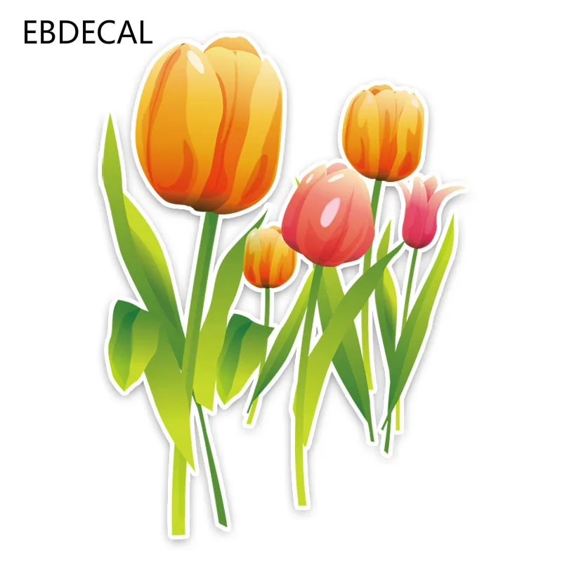 EBdecal Interesting Tulip Decor Colored For Auto Car/Bumper/Window/Wall Decal Sticker Decals DIY CT11448 | Автомобили и мотоциклы