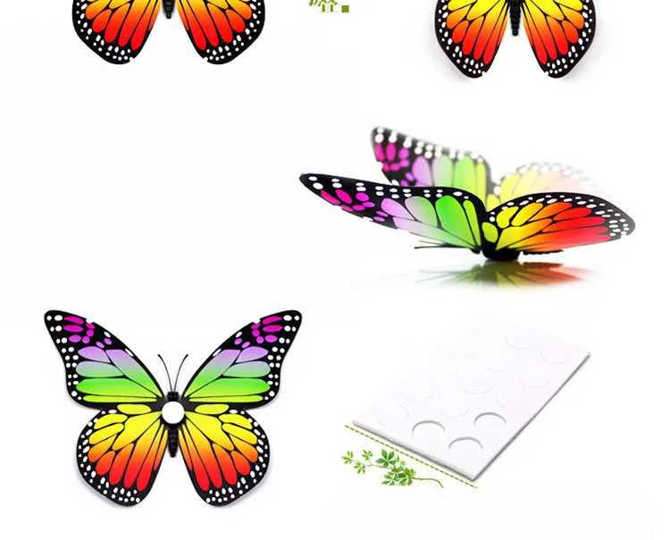 4696364379_769394040.jpg_.webp