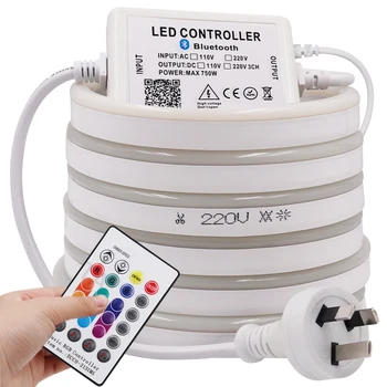 

Music RGB LED Strip Neon Light APP Bluetooth White Remote Rope Light AU Waterproof Flexible LED Neon Lamp for Holiday Decoration