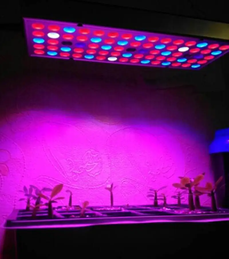 25W/45W LED Plants Grow Panel light cultivo Growing Phyto Lamp UV IR kit For Indoor Greenhouse growbox room vegetable tent