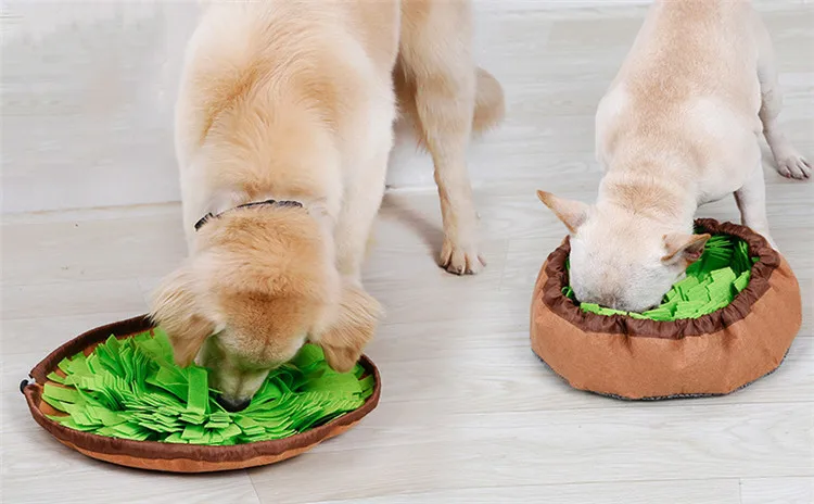 10237938984_860115678