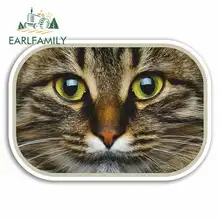 EARLFAMILY 13cm x 13cm Cat Face Funny Car Stickers Vinyl JDM Sunscreen Waterproof Bumper Trunk Truck Graphics DIY Fine Decal