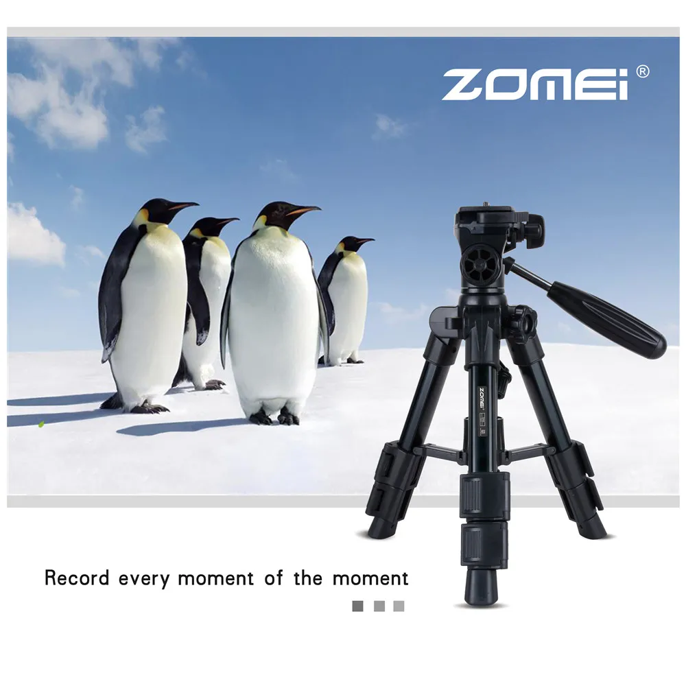 ZOMEI Q100 Профессиональный портативный дорожный алюминиевый штатив для камеры с панорамной головкой держатель для телефона для SLR DSLR цифровой штатив для камеры