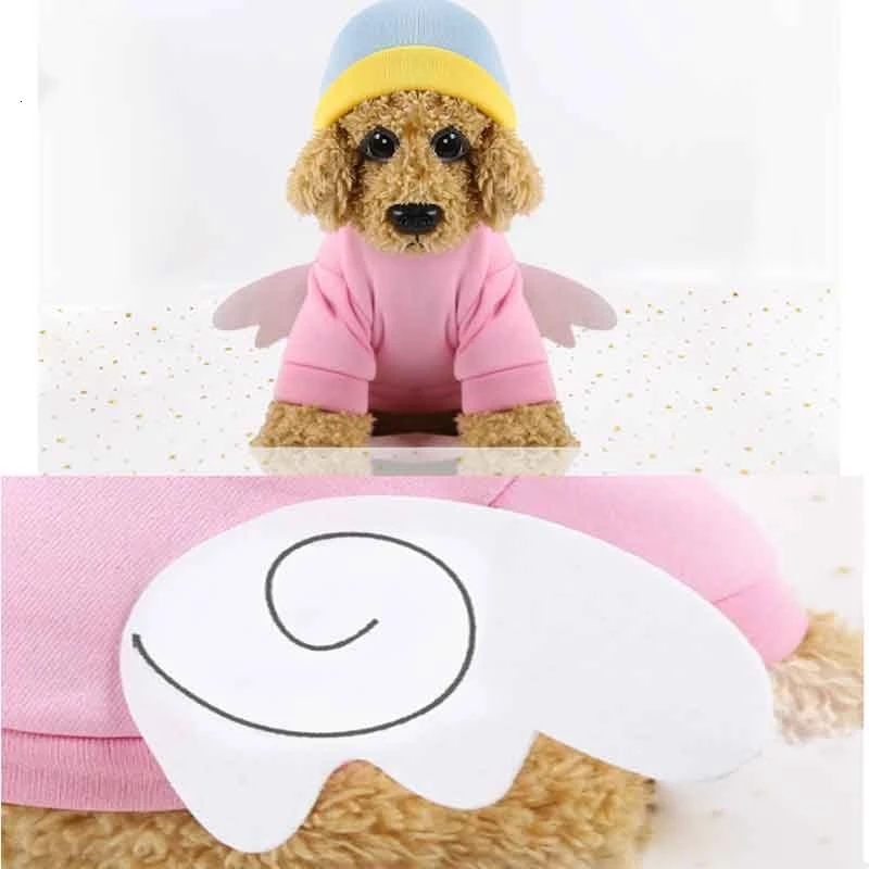 french bulldog sweater.jpg_.webp