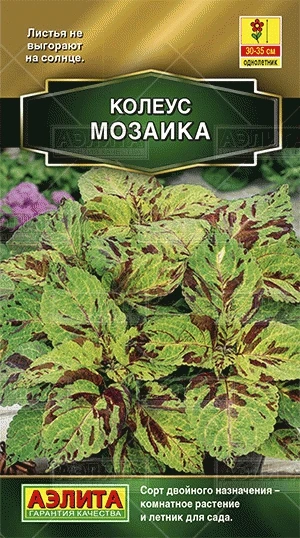 Колеус блюме Мозаика 10 шт/10 (цена за один пакет) | Дом и сад