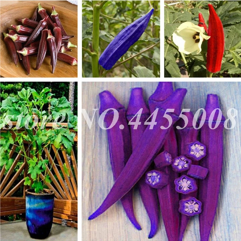 

30pcs/bag Okra bonsai,Organic Non GMO food For Kidney Garden Supplies For Fun Countryside Garden