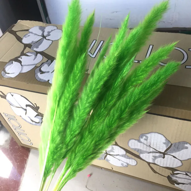 3630618671_61185214.640x640