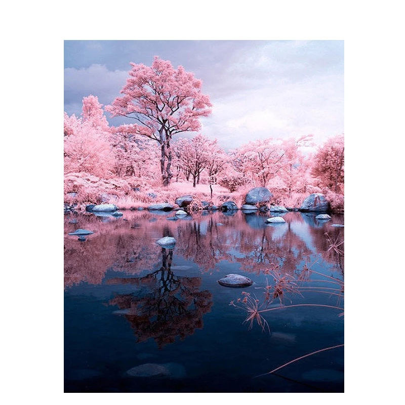 

DIY Painting By Number Pink Tree Landscape Wall Canvas Art Handpainted Picture By Numbers Art
