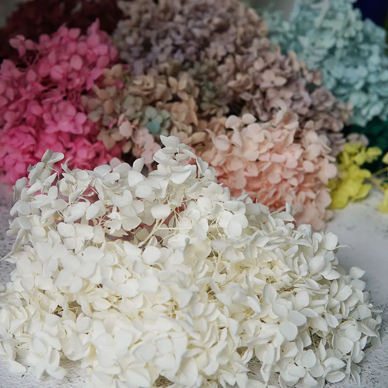 Гортензии Анны цветы маленькие листья сохраненные гортензии декор для офиса