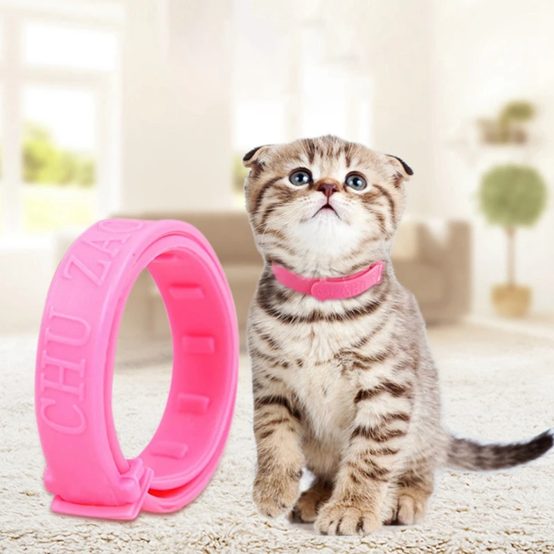 comfortable cat collar