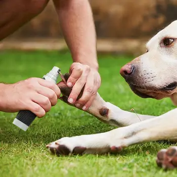 

Hot Electric Pet Nail Grinder Quiet Auto Cat Dog Nail Grooming File Professional Rechargeable Paws Grinder USB Charging