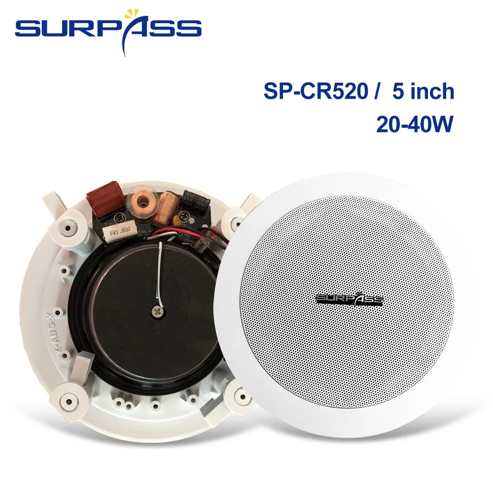 US $135.66 Surpass Audio WIFI Bluetooth Wall Amplifier With Ceiling Speaker Whole Set Package For Home Theater Background Music System