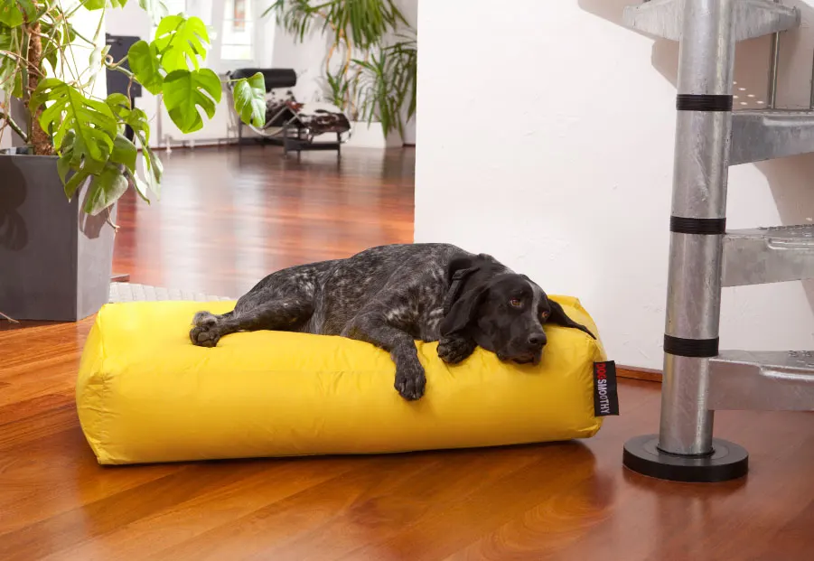 Экстра большой Аква синий разные цвета водонепроницаемый мешок фасоли PET собака