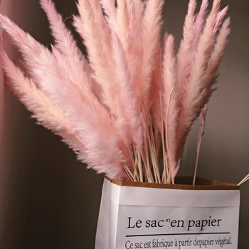 

5/20/25pcs INS Bulrush Natural Dried Flowers Artificial Plant Branch Pampas Grass Phragmites Fake Flower Wedding Home Decoration