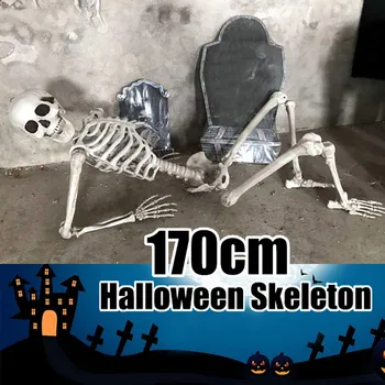 

Skeleton Skeleton Halloween 170cm Human Anatomical Skeleton Model Halloween Party Decoration Skeleton Art Sketch #YL5