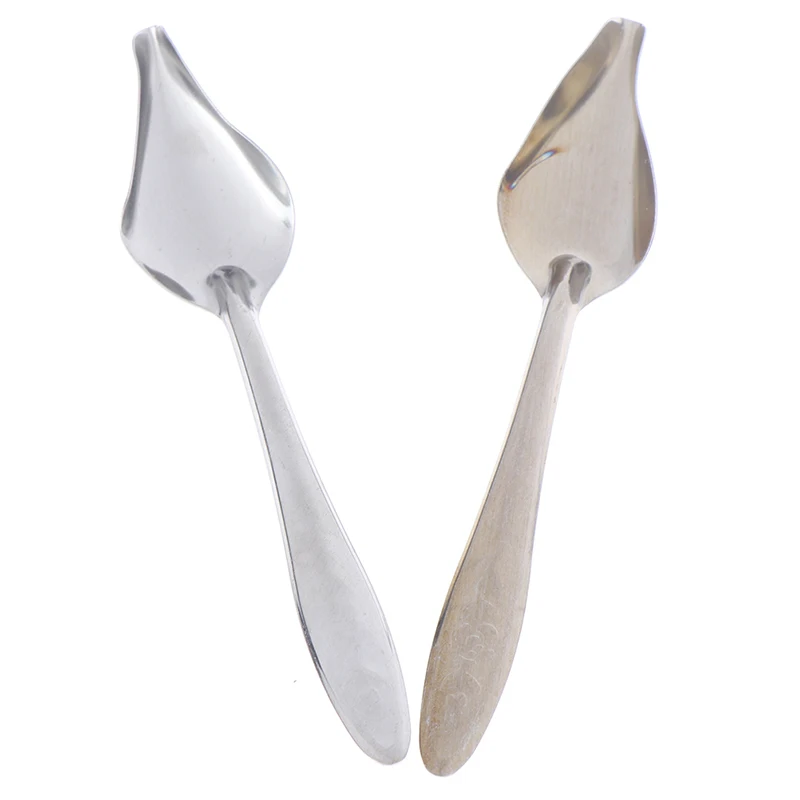 

2pcs/set Bird Parrot Feeding Spoon Stainless Steel Water Milk Powder Feeder Spoons Bird Supplies